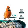 Humbirdy Smart Bird Feeder Camera 4K Solar Powered SH66-1