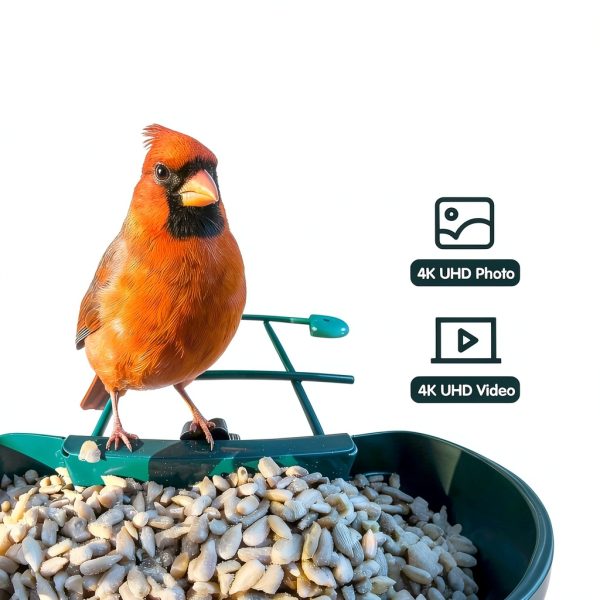 Humbirdy Smart Bird Feeder Camera 4K Solar Powered SH66-1