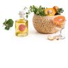 Brightland Fruit Vinegars Artisanal Double Fermented Gut-4