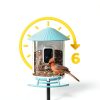 NETVUE Smart Bird Feeder Camera Solar Powered Birdwatching-4