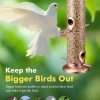 iBorn Copper Bird Feeder Finch Seed Rust Resistant Hanging-3