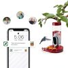 TT Nature Solar Hummingbird Feeder Camera Red Easy Refill-2