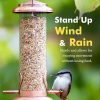 iBorn Finch Bird Feeder Brushed Copper Heavy Duty Hanging-4