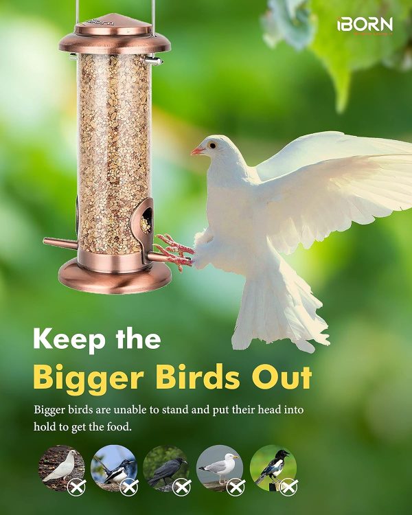 iBorn Finch Bird Feeder Brushed Copper Heavy Duty Hanging-3