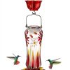 Kingsyard Hummingbird Feeder Glass Ant Bee Resistant Design-1