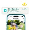 NETVUE Smart Bird Feeder Camera Solar Powered Birdwatching-1