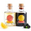 Brightland Fruit Vinegars Artisanal Double Fermented Gut-0