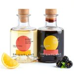 Brightland Fruit Vinegars Artisanal Double Fermented Gut-0