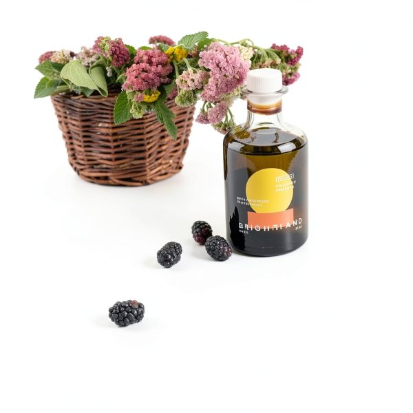 Brightland Fruit Vinegars Artisanal Double Fermented Gut-3