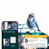 Humbirdy Smart Bird Feeder Camera 4K Solar Powered SH66-2