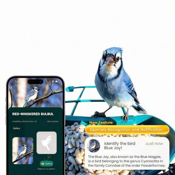 Humbirdy Smart Bird Feeder Camera 4K Solar Powered SH66-2