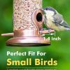 iBorn Finch Bird Feeder Brushed Copper Heavy Duty Hanging-2