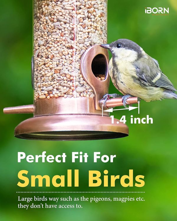 iBorn Finch Bird Feeder Brushed Copper Heavy Duty Hanging-2