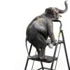 Step Ladder HBTower Folding 3 Step Anti Slip Pedal Black-2